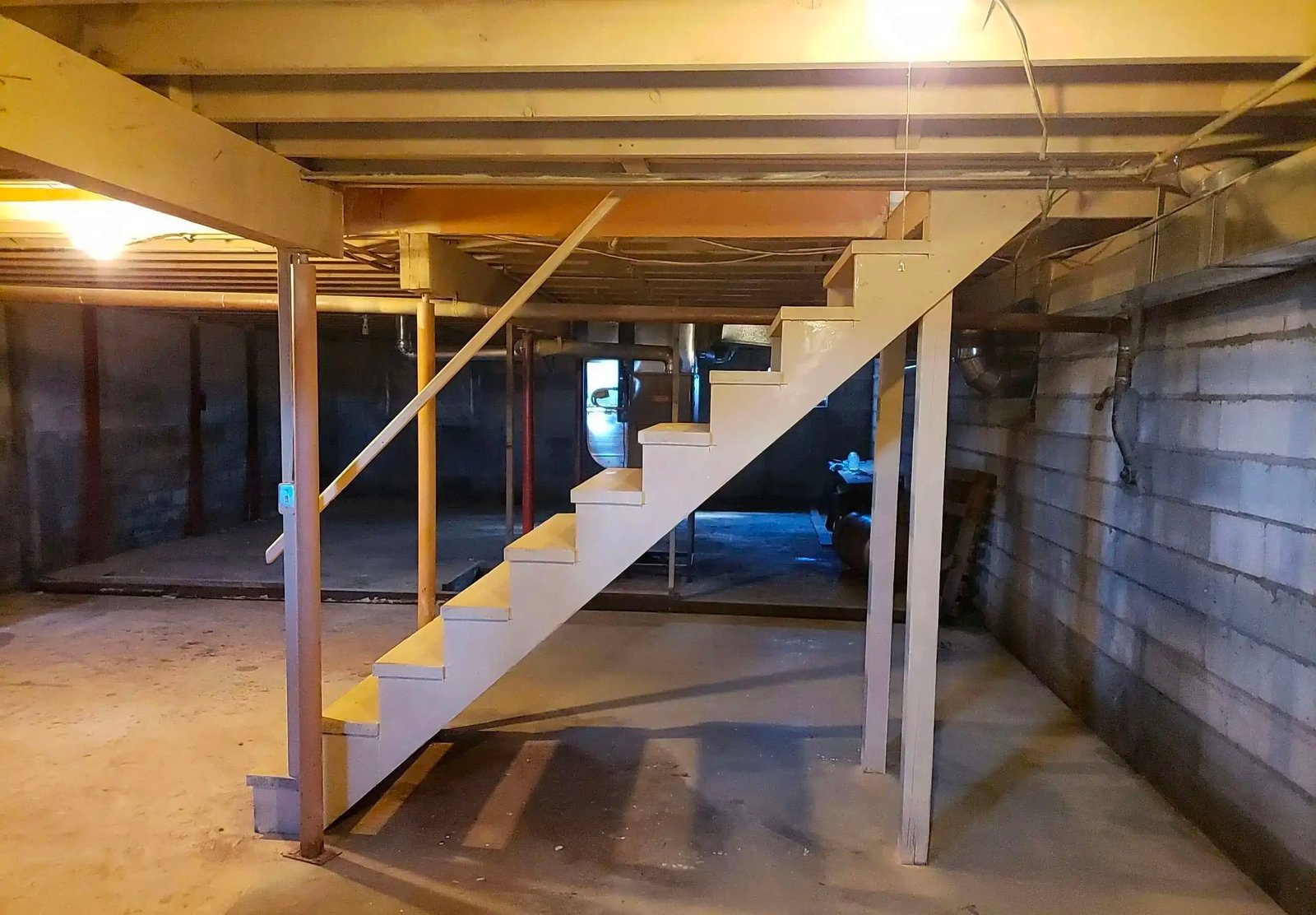 crawlspace mold