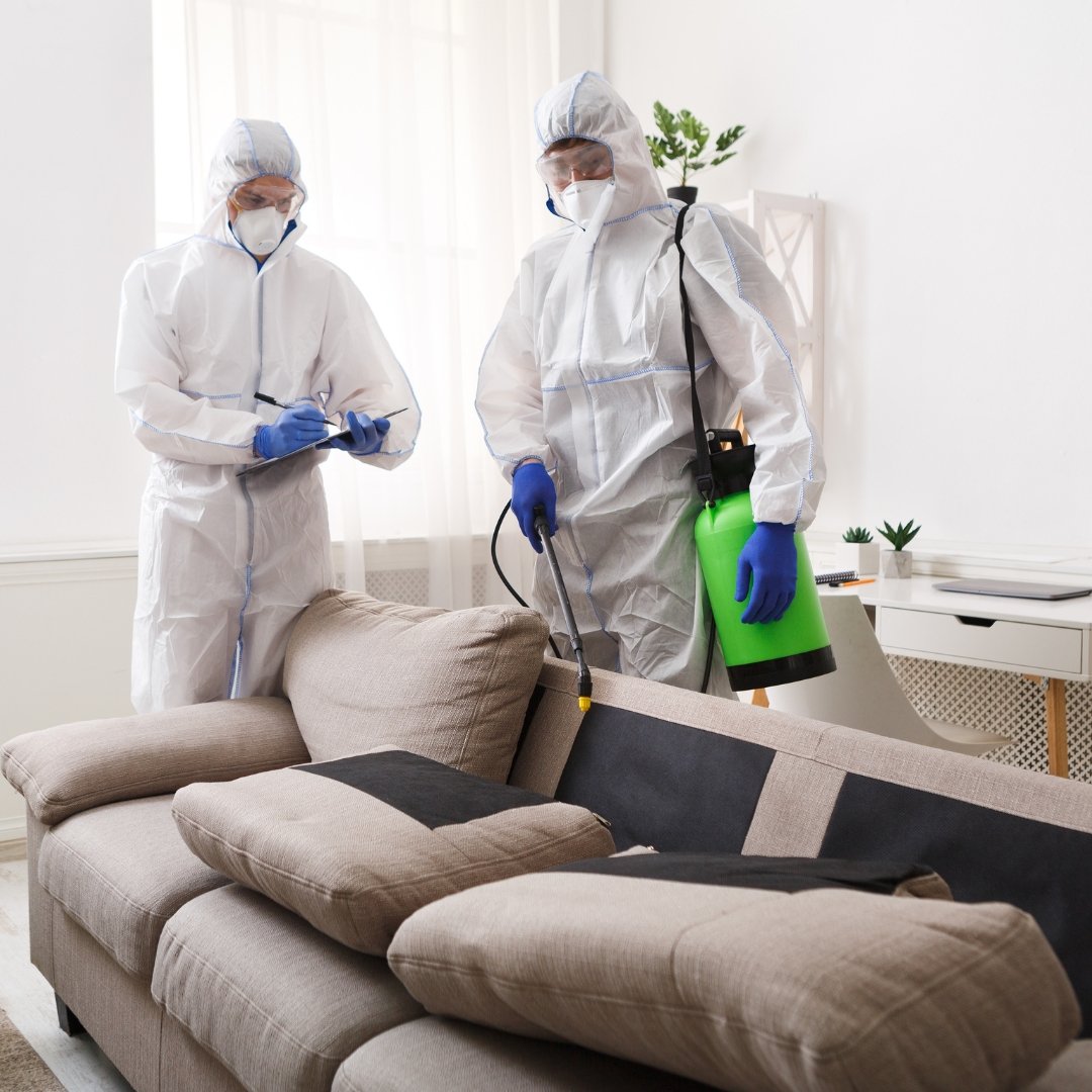residential disinfection services