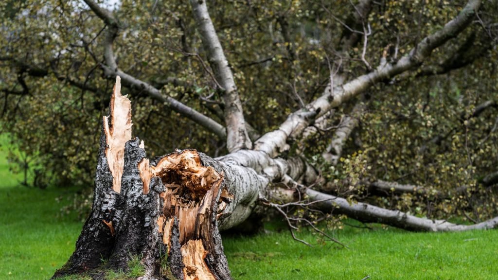 hhe storm damage restoration