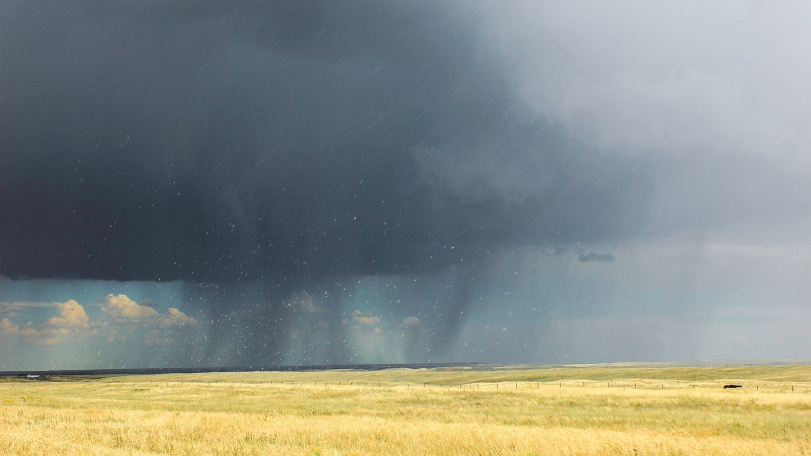 storm damage restoration in Idaho Falls